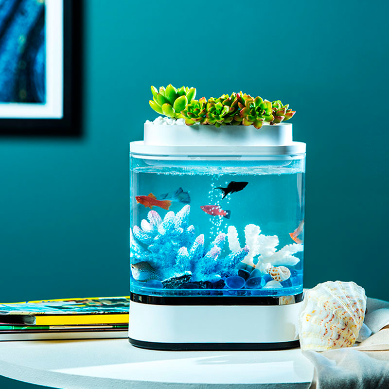 Самоочищающийся аквариум avo - аквариум фильтр рыбы вода проект