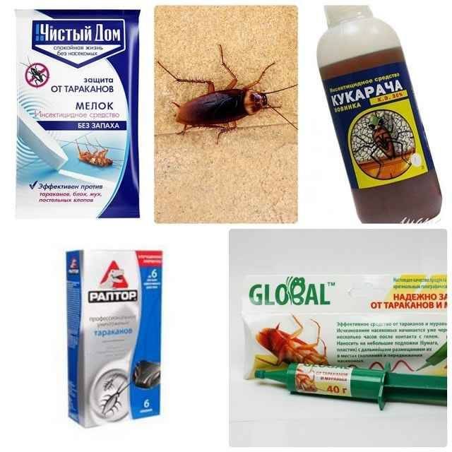 Как избавиться от тараканов навсегда дома