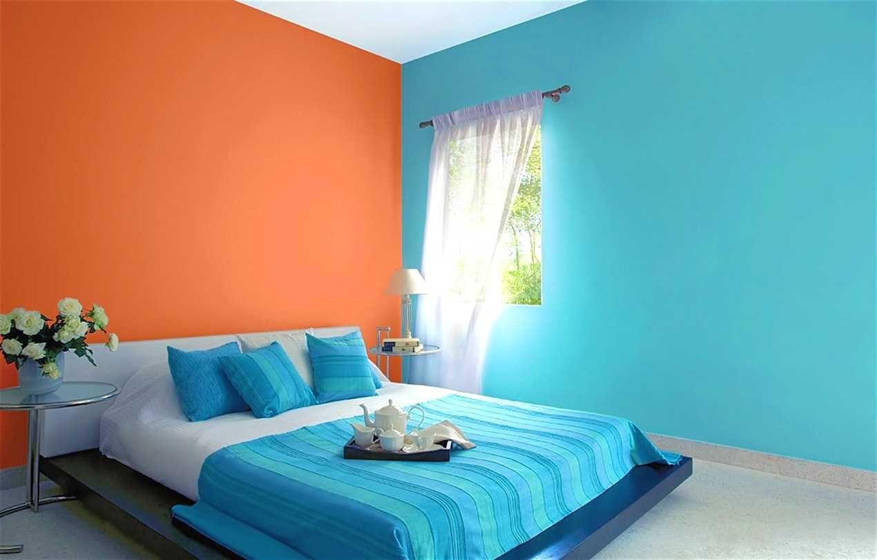 Покраска стен в квартире: дизайн, фото, виды красок, инструкция