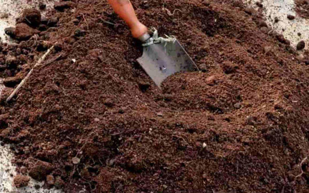 Мульчирование - это использование различных смесей для укрытия почвы и как это влияет на растения