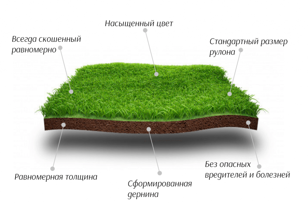 Газон на схеме