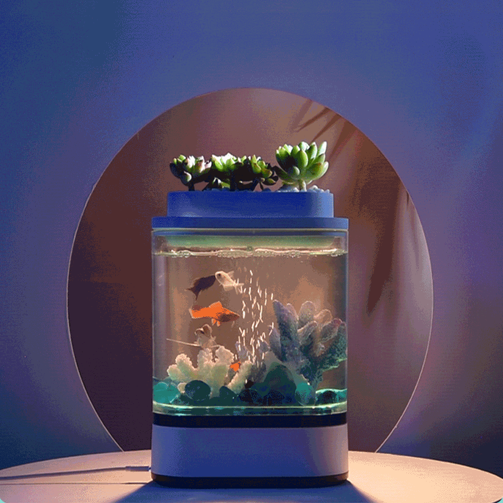 Нужен ли фильтр в аквариуме и можно ли обойтись без него?